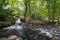 Waterfall and stream at the Oliwa Park