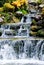 Waterfall stream over stones and growing plants