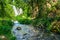 Waterfall and stream in a shady scenic spot, Shaki