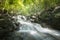 Waterfall stream Tropical forest