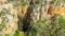 A waterfall surrounded by forest in Morialta Conservation Park, South Australia