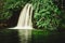 waterfall surrounded by lots of green vegetation