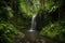 waterfall surrounded by lush, verdant greenery in the heart of a rain forest