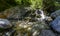 Waterfall surrounded by nature