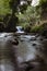 WATERFALL surrounded by Nature