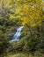 Waterfall surrounded by yellow fall color in forest