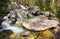 Waterfall in Tatra mountain, Slovakia