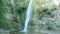 Waterfall in Tbilisi botanical garden