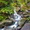 Waterfall in temperate New zealand rain forest