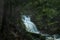 Waterfall thickets of coniferous spruce forest.