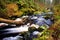 Waterfall Trail at Glenariff Forest Park, County Antrim. Hiking in Northern Ireland