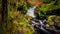 Waterfall Trail at Glenariff Forest Park, County Antrim. Hiking in Northern Ireland