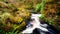 Waterfall Trail at Glenariff Forest Park, County Antrim. Hiking in Northern Ireland