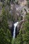 Waterfall and Trees in the American Landscape. Tower Fall in Yellowstone National Park