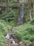 Waterfall between trees in rainforest in Hotel resort in Munnar, Kerala, South India