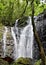 Waterfall in a tropcial forest in Tahiti