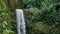 Waterfall in tropical jungle with lush green plants. High humidity