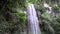 Waterfall in the tropical jungle seen from the bottom in the middle of a green natural forest.