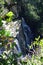 Waterfall, Tsitsikamma National Park, Garden Route, nr Knysna, South Africa