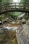 Waterfall and water flow surrounded by green forest