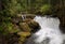 Waterfall in Whatcom Falls Park