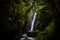 Waterfall in the wild nature of Brazil