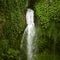 Waterfall in wild nature. Tropical forest.