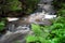 Waterfall, wild river Doubrava in Czech Republic. Valley Doubrava near Chotebor