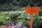 Waterfall wooden sign in the green forest