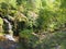 Waterfall in woodland at crimsworth dean near pecket well in calderdale west yorkshire