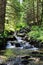 a waterfall in the woods at summer