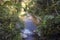 Waterfalls from above