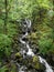 Waterfalls along the way while climbing the hill Penygader (Dolgellau)Cadair Idris, National Park Snowdonia in Wales, UK