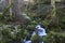 Waterfalls at the bottom of Cwm Amarch