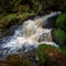 Waterfalls on the brook