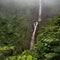 Waterfalls in the carribean. Amazing tropical forest