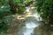 Waterfalls of Cascadas de Agua Azul Chiapas Mexico