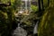 Waterfalls, clear, beautiful, green, plants, moss, rocks.