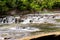 Waterfalls and driftwood in Tennessee landscape