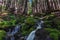 Waterfalls in Mount Rainier National Park near Spray Park in Washington state USA