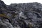 Waterfalls Nena glacier on the archipelago of Tierra del Fuego.