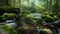 Waterfalls in the north of Thailand are covered with moss and plants. Beautiful waterfall in the rain forest.