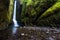 Waterfalls in Oneonta Gorge trail, Oregon