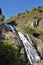 Waterfalls and plant in mountain