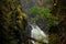 Waterfalls in rain forest in deep granite canyon