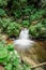 Waterfalls on the river Bila Opava,Jeseniky Mountains,Czech Republic.Deep valley,lush green forest,numerous cascades,rock