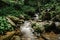 Waterfalls on the river Bila Opava,Jeseniky Mountains,Czech Republic.Deep valley,lush green forest,numerous cascades,rock