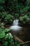 Waterfalls on the river Bila Opava,Jeseniky Mountains,Czech Republic.Deep valley,lush green forest,numerous cascades,rock