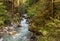 Waterfalls Stanghe Gilfenklamm localed near Racines, Bolzano in South Tyrol, Italy. Wooden bridges and runways lead through the