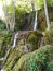 Waterfalls stream in the wood